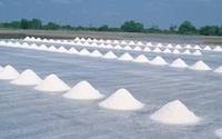 Производство соли
