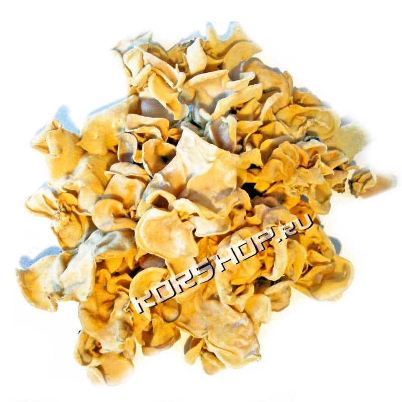 Грибы древесные сушеные Моэр белые (0,5 кг)