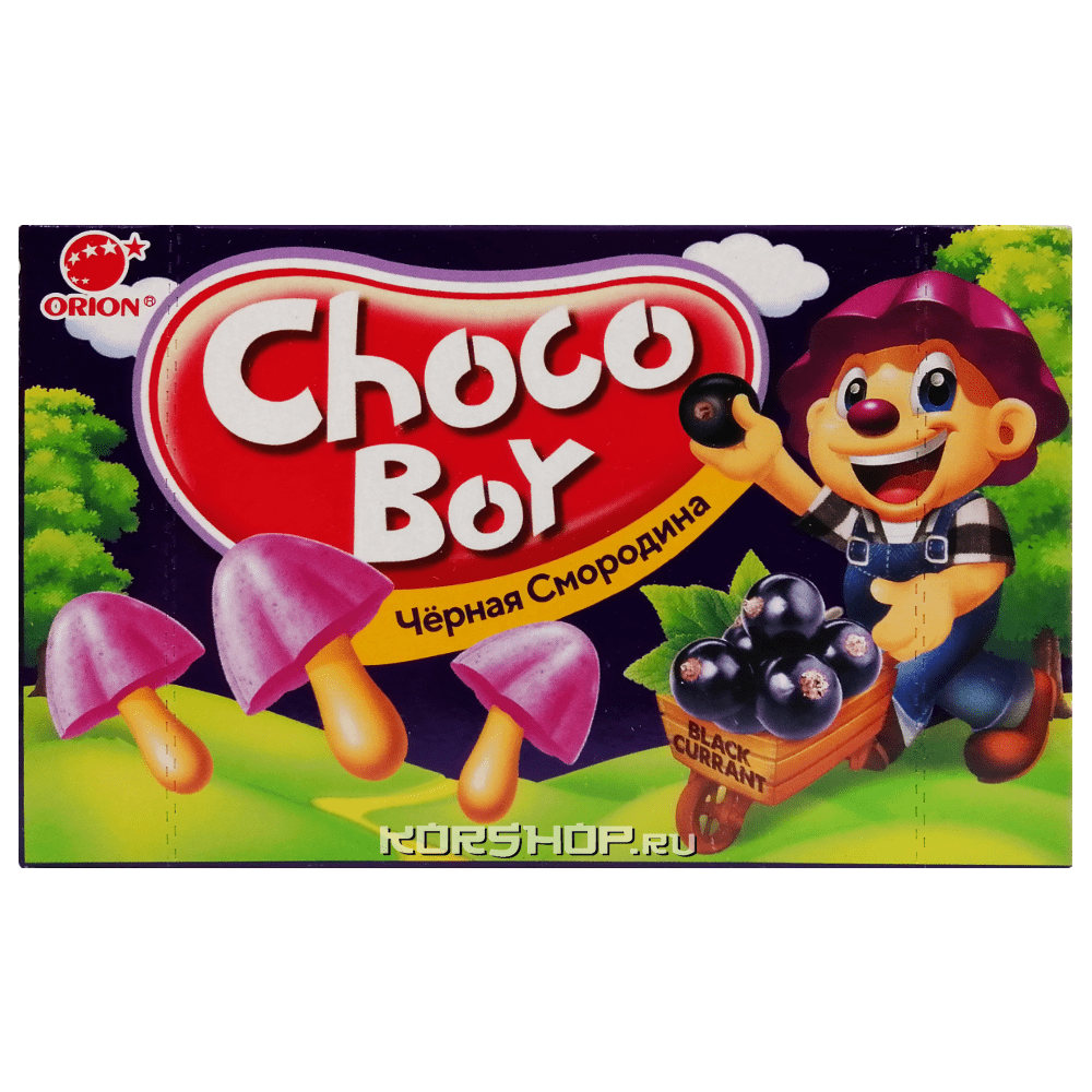 Печенье с черной смородиной Choco Boy Orion, Корея, 45 г