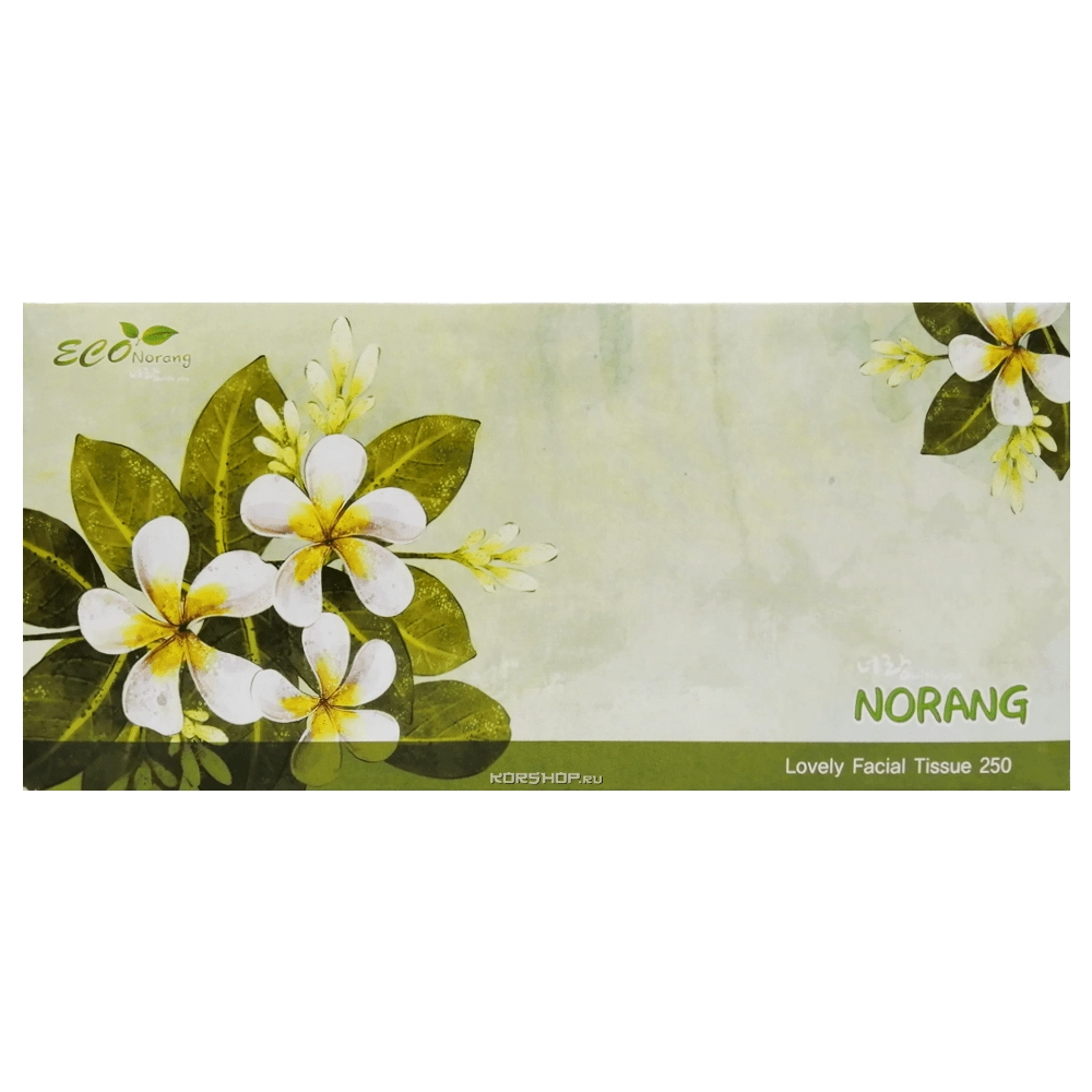 Двухслойные салфетки для лица (зеленые цветы) Norang (250 шт.), Корея Двухслойные салфетки для лица (зеленые цветы) Norang (250 шт.), Корея