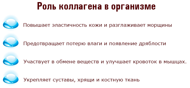 Роль коллагена в организме. Роль коллагена в организме.