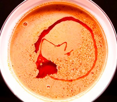 lapsha-ramen-s-bulonom-i-ostrym-svinym-farshem-tantanmen03.jpg