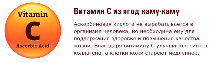 Роль витамина С в организме. Роль витамина С в организме.