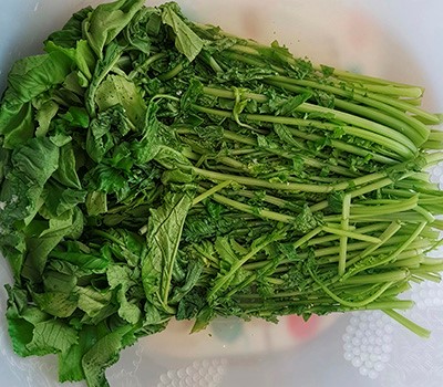 kimchi-iz-botvy-beloy-redki-daykon-muchkhon-kimchi02.jpg