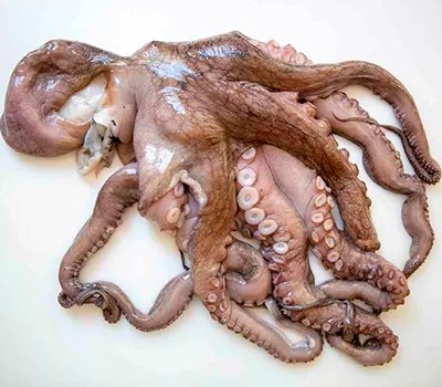 zakuska-iz-osminoga-v-pikantnom-marinade-takovasabi02.jpg