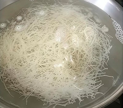 zharenaya-lapsha-s-ovoshchami-i-myasom-pansit02.jpg