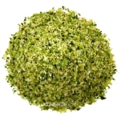 Капуста пекинская сушеная, 500 г (0,5 кг)