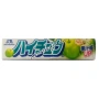 Жевательные конфеты со вкусом зеленого яблока Hi-Chew Green Apple Morinaga, Япония, 55 г