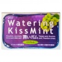 Жевательная резинка со вкусом муската Glico Waterring Kissmint, Япония, 16,7 г