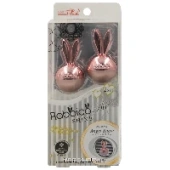 Меловой ароматизатор воздуха Snow Angel Rabbico Air Shine Diax, Япония