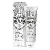 Зубная паста Мягкая мята Swedish Mild Mint Smaland KeraSys, Корея, 100 г