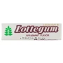 Жевательная резинка Lotte Gum Spearmint, Корея, 12,5 г Жевательная резинка Lotte Gum Spearmint, Корея, 12,5 г